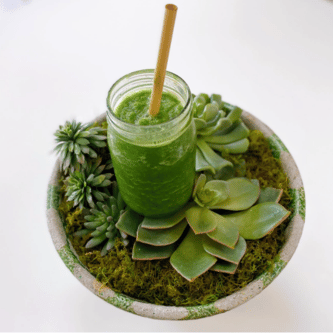 Compostable Drinking Straws: Top Reasons to Switch to Reed Straws Today