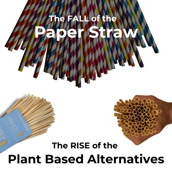 An image illustrating the decline of paper straws and the rise of plant-based alternatives. 