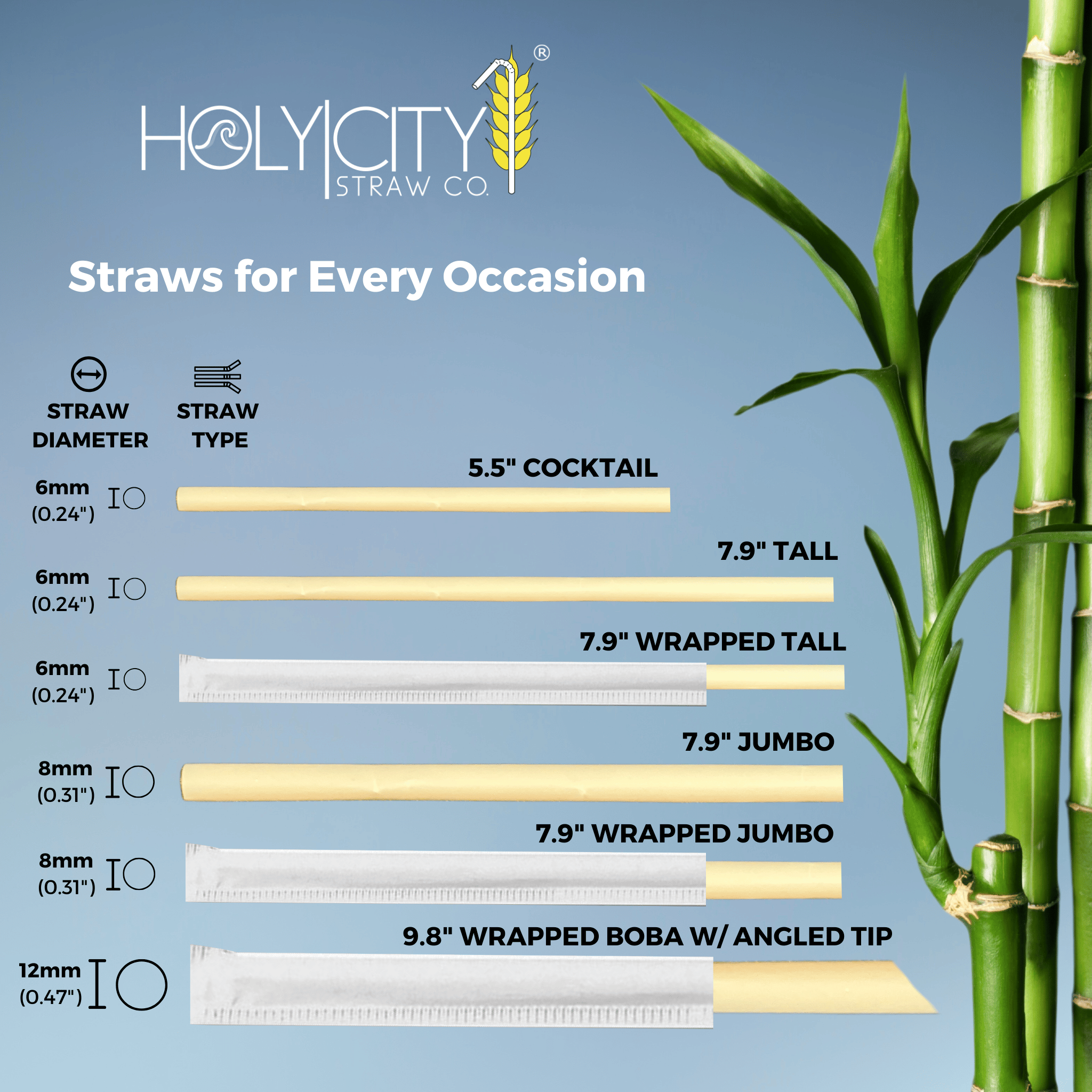 Holy City Straw Co. lineup of bamboo fiber straws displayed by type and diameter, including cocktail, tall, jumbo, wrapped, and boba straws alongside real bamboo stalks for visual comparison.