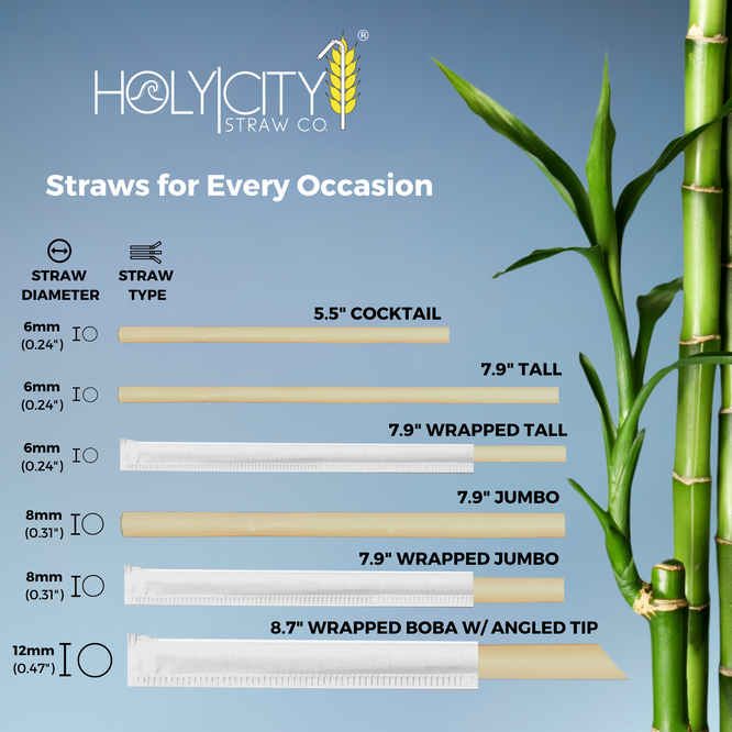 Holy City Straw Co. lineup of bamboo fiber straws displayed by type and diameter, including cocktail, tall, jumbo, wrapped, and boba straws alongside real bamboo stalks for visual comparison.