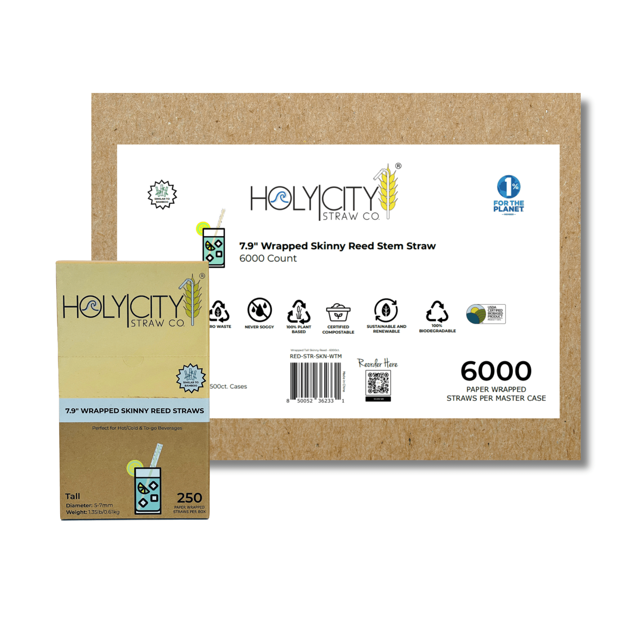 Master case of 6000 Holy City Straw Co. 7.9-inch wrapped skinny reed stem straws, emphasizing sustainable and renewable benefits, pictured with a smaller box of 250 straws.